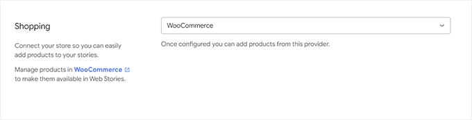 Google Web Stories Kya Hai और वेब स्टोरी से पैसे कैसे कमाए - पूरी जानकारी 13 Google Web Stories में Ecommerce Integration कैसे जोड़ें